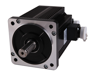 High torque DC servo motor