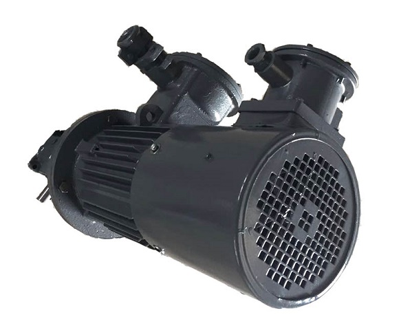 Yb3 explosion-proof three-phase asynchronous motor