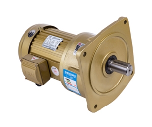 Vertical gear reducer