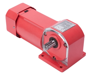 Yamato direct axis gear motor