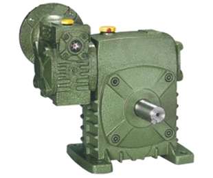 Wpeds worm gear reducer